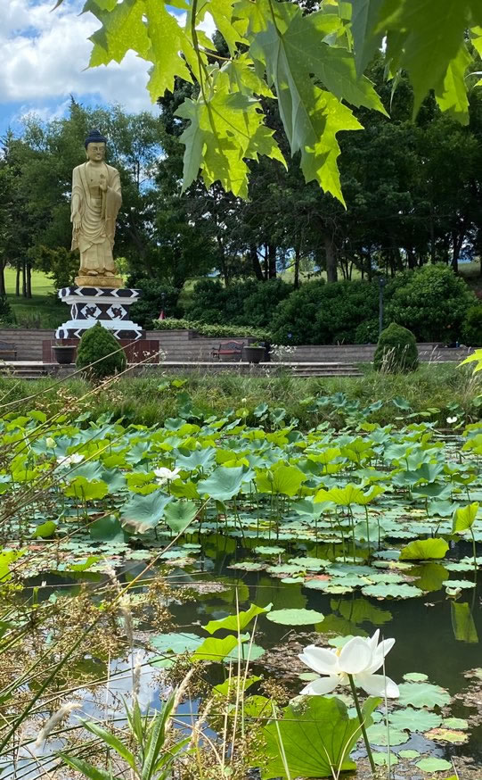 Buddha Park at Mindrolling Lotus Garden